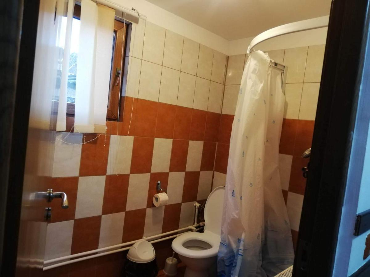 Casa Radu Lui Anghel Villa Barbuletu Exterior foto